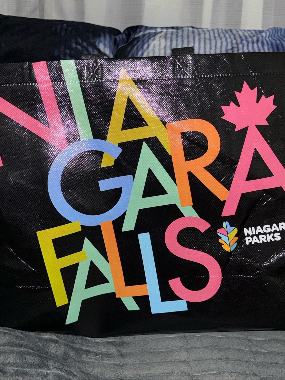 Niagara Falls Parks Reusable Bag Tote Colorful